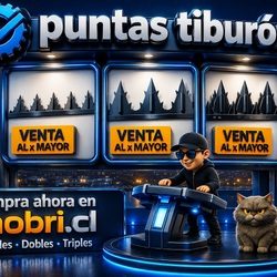 Conoce nuestra tienda web de mobri.cl